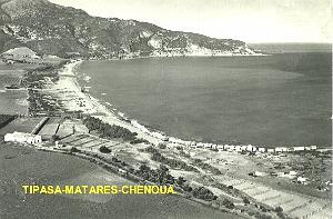 TIPASA MATARES CHENOUA